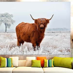 K&ouml;nnte beinhalten: Eine braune Highland-Kuh mit langem, struppigem Fell steht auf einem schneebedeckten Feld. Die Kuh blickt direkt in die Kamera, den Kopf hoch erhoben. Der Hintergrund ist verschwommen wei&szlig;, mit einem kleinen Baum in der Ferne.