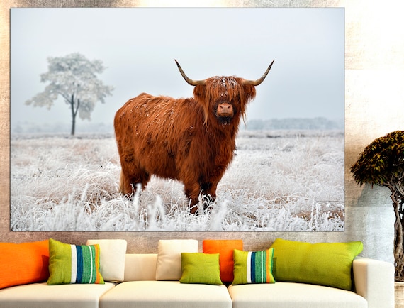Highland Cow In Snow Buffalo Print Cow Wall Art Bull Print Cow Photography Highland Cow Decor Scottish Cow