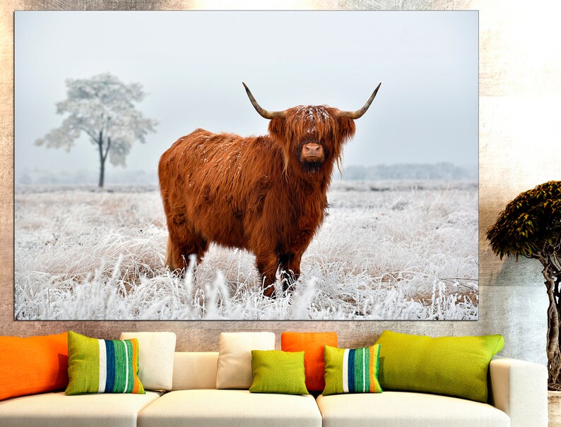 K&ouml;nnte beinhalten: Eine braune Highland-Kuh mit langem, struppigem Fell steht auf einem schneebedeckten Feld. Die Kuh blickt direkt in die Kamera, den Kopf hoch erhoben. Der Hintergrund ist verschwommen wei&szlig;, mit einem kleinen Baum in der Ferne.