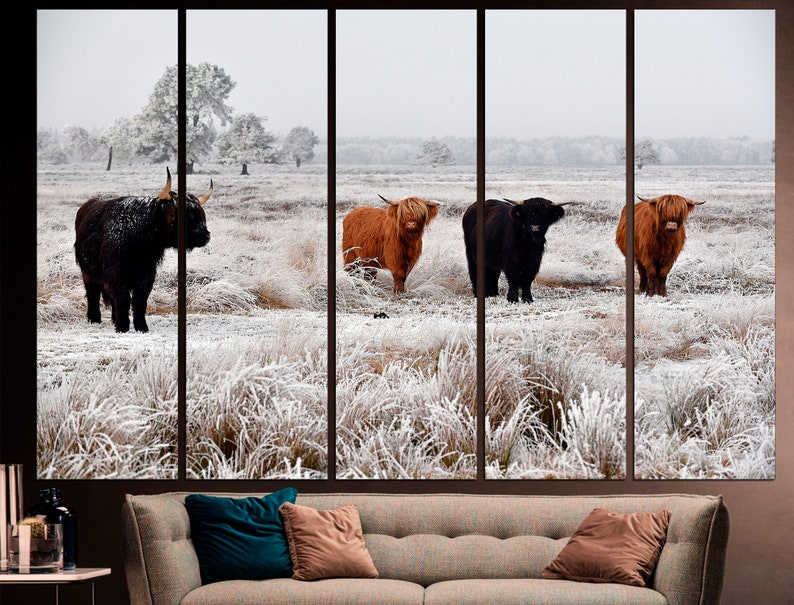 May include: Four Highland cattle stand in a snowy field. Two are brown and two are black. The cattle are looking at the camera. The field is covered in frost and snow.