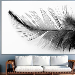May include: A single black feather against a white background. The feather is delicate and intricate, with a soft, feathery texture.