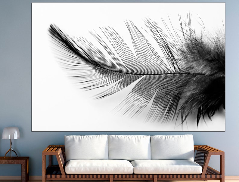 Black White Feather Black and White Feather Wall Art Feather Etsy