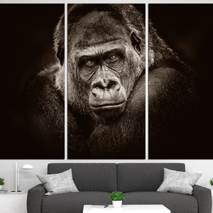 May include: A close-up portrait of a gorilla in black and white. The gorilla is looking directly at the camera with a serious expression. The background is dark and blurred.