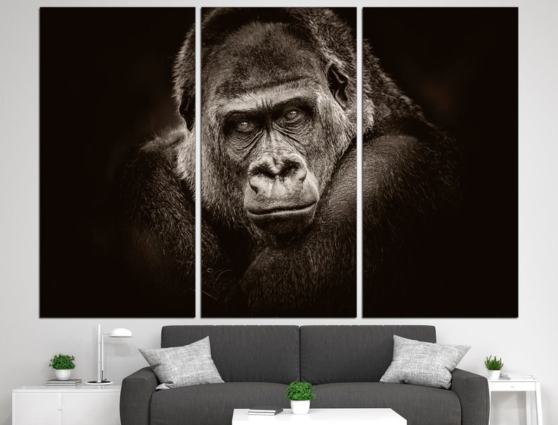 May include: A close-up portrait of a gorilla in black and white. The gorilla is looking directly at the camera with a serious expression. The background is dark and blurred.