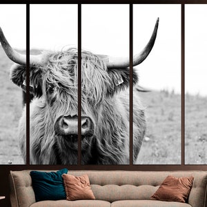 May include: Black and white photograph of a Highland cow with long, shaggy hair. The cow is looking directly at the camera with a serious expression.