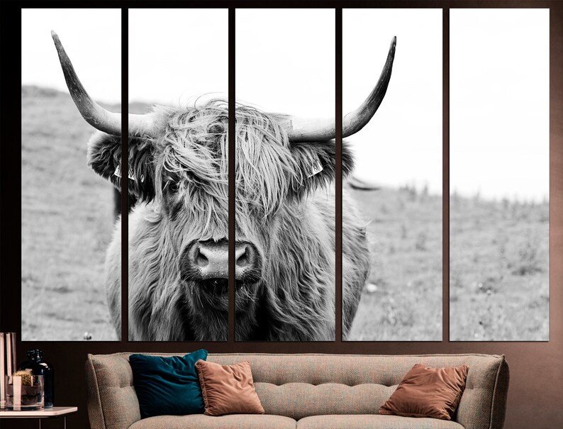 May include: Black and white photograph of a Highland cow with long, shaggy hair. The cow is looking directly at the camera with a serious expression.