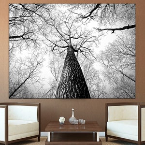 Tree Branch Wall Art Black And White Art Trees Canvas Print Forest Wall Art Extra Large Wall Art Abstract Tree