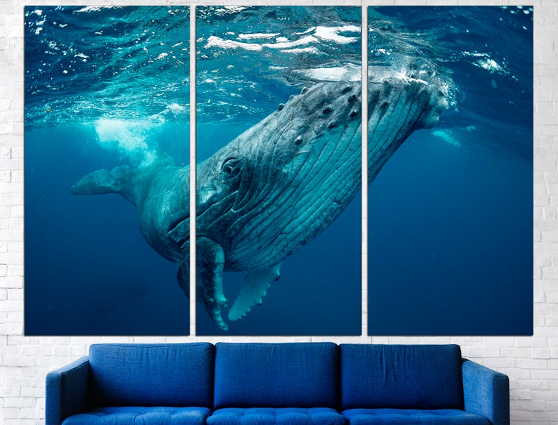 Whale Wall Art Whale Home Decor Whale Art Print Whale Decor Etsy