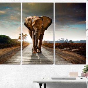 May include: A large brown elephant walks down a dirt road in a field. The sky is cloudy and the sun is setting in the distance.