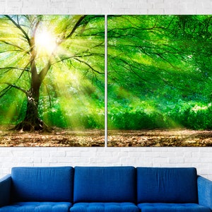 May include: A split canvas print depicting a sunlit woodland scene. The left panel shows a large tree with sunbeams shining through the leaves. The right panel shows a dense woodland with green foliage.