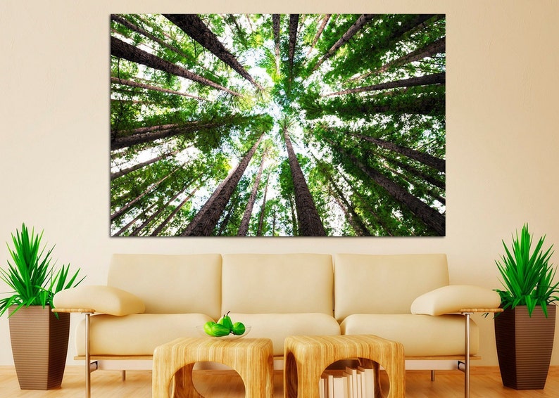 May include: A view looking up through a forest of tall, green trees with a bright blue sky visible in the background.