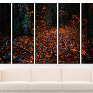 May include: A dark forest path covered in a carpet of orange and brown leaves. The path leads through the trees, with the light filtering through the branches.