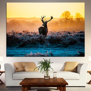 May include: A silhouette of a red deer stag with large antlers standing in a field of tall grass covered in frost. The sun is setting in the background, casting a warm golden light over the scene.