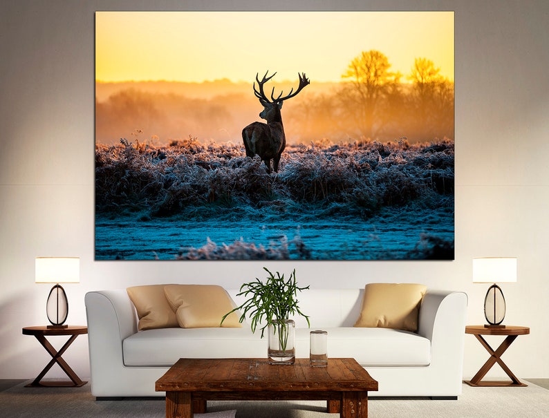 May include: A silhouette of a red deer stag with large antlers standing in a field of tall grass covered in frost. The sun is setting in the background, casting a warm golden light over the scene.