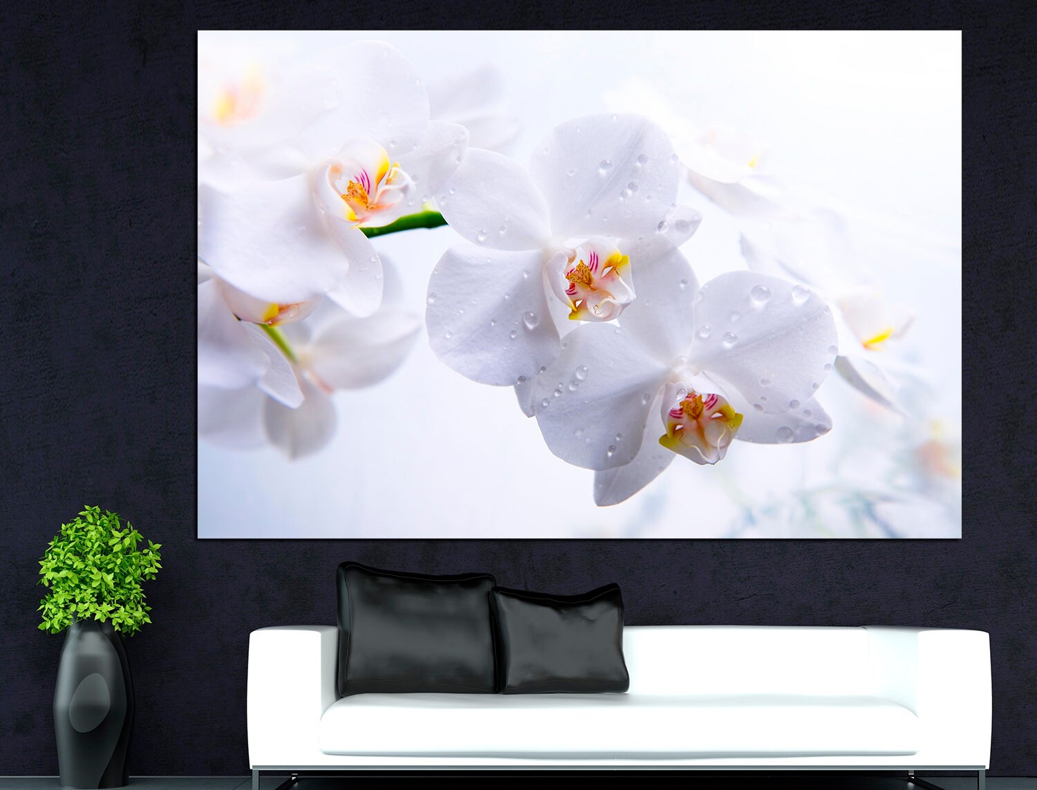 White Orchid Canvas Wall Art Orchid Canvas Spa Wall Art Orchid Etsy