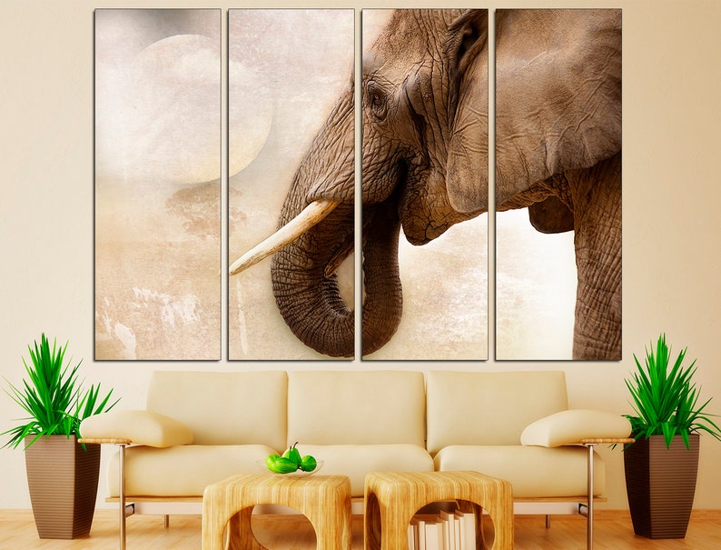 May include: A close-up of an elephant's head and trunk, with a soft, faded background. The elephant's skin is textured and wrinkled, and its tusks are long and curved. The image is split into three panels.