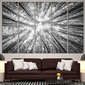 May include: A black and white photograph of a forest from a low angle, looking up at the trees. The trees are bare and the sky is visible through the branches.