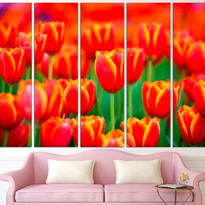 May include: A close-up of a field of red and yellow tulips. The tulips are in focus, while the background is blurred.