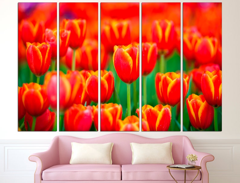 May include: A close-up of a field of red and yellow tulips. The tulips are in focus, while the background is blurred.