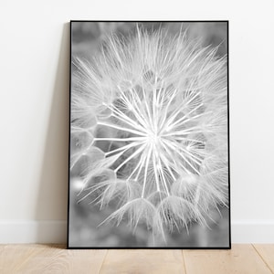 Black White Flower Print, Dandelion Poster, Digital Print,Printable Rustic Art,Botanical Wall Decor,Farmhouse Print,Wildflowers Photography