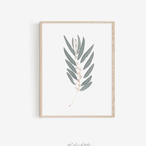 Olive Branch Print, Blue Green Wall Art, Printable Italian Olive Poster, Dried Plant Art Print, Botanical Neutral Decor, Rustic Print