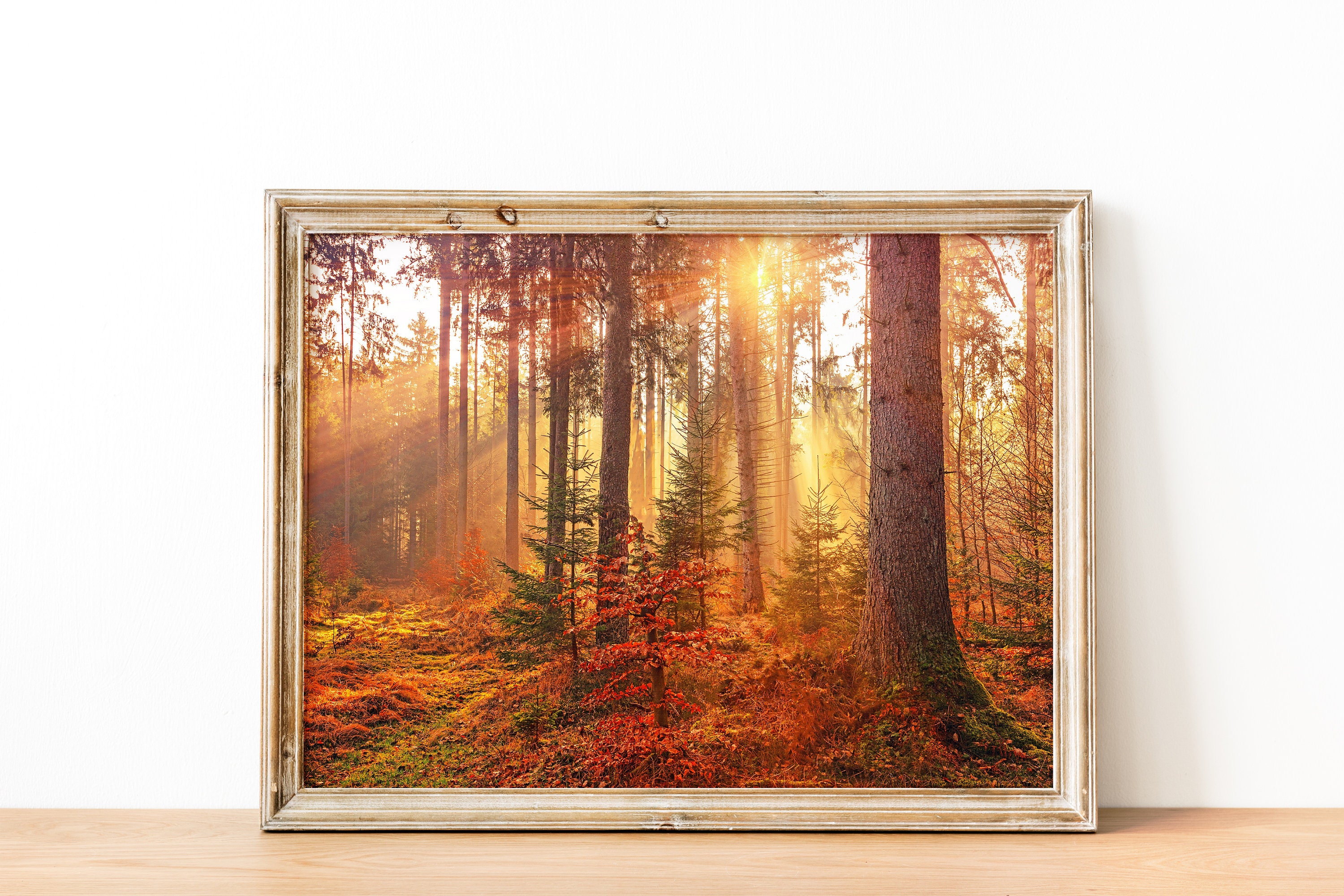 Forest Print Autumn Forest Poster Horizontal Print Digital - Etsy