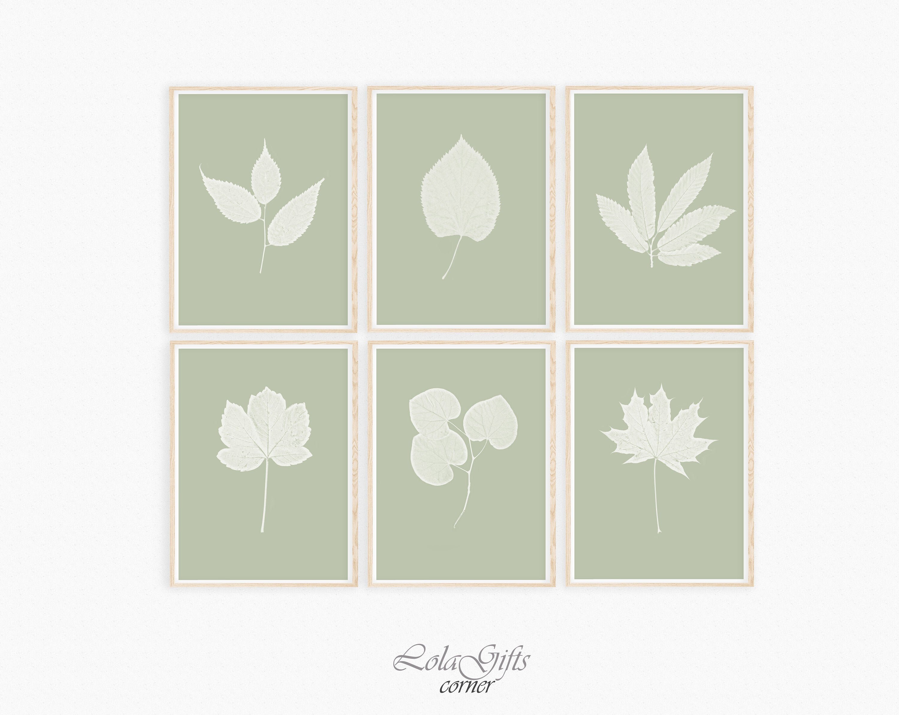 Sage Green Leaf Prints Set of 6 Art Herbs Print Leaves Poster Etsy