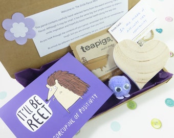 Purple Letterbox Gift, Pick Me Up, The Smile Parcel Mini, Friend Gift, Just Because, Surprise, Positivity, Mental Health, Treat, Tea Gift