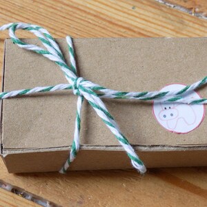 Puede incluir: Una peque&ntilde;a caja de cart&oacute;n marr&oacute;n atada con cuerda blanca y verde. La caja tiene una pegatina blanca con un animal de dibujos animados rosa.