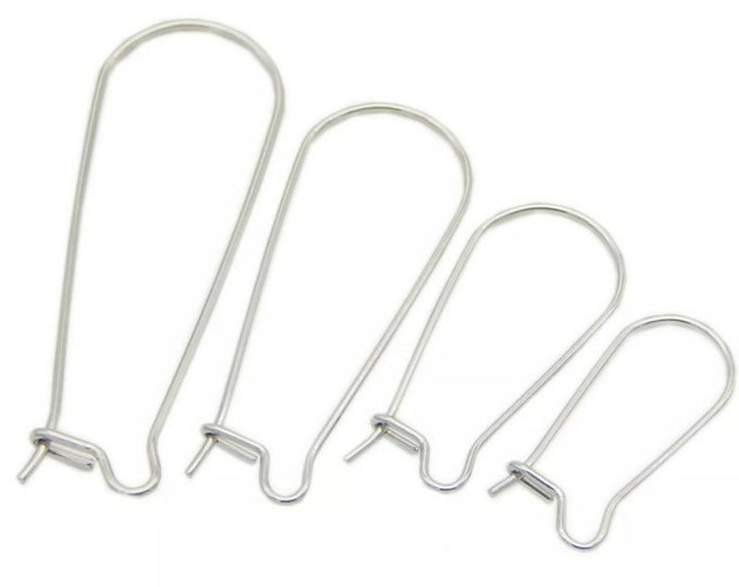 48 Pieces Silver Stainless Steel Kidney Hooks Ear Wires Findings Great for Wood Earrings