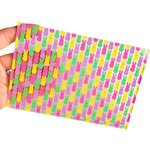 MANY SIZES Colorful Easter Bunny Peep Print on Clear Acrylic Patterned Sheet for DIY Easter Earrings, Blanks, Dollhouse Windows