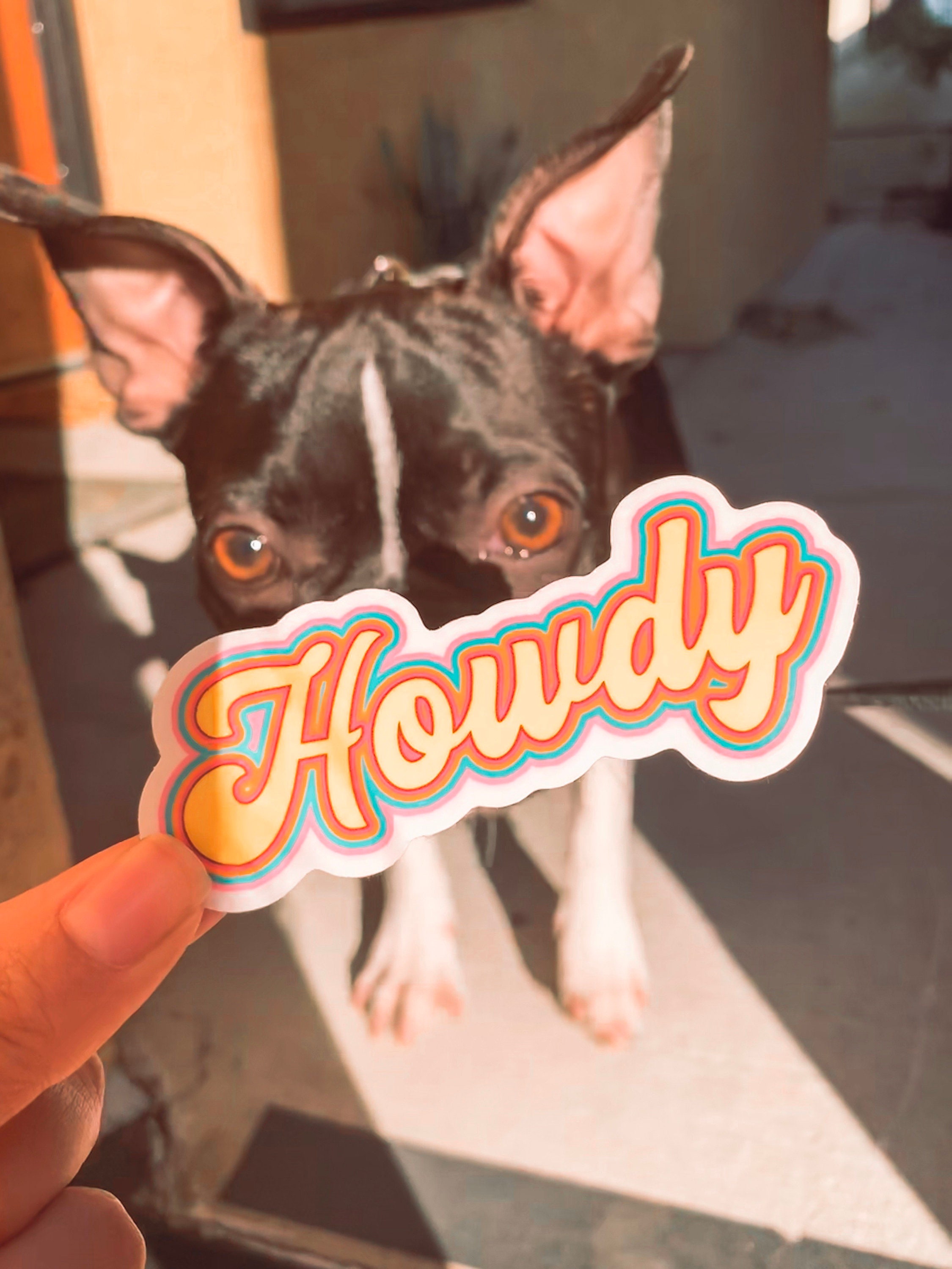 Howdy Retro Script Sticker - 70’s Inspired Groovy Western Vinyl Stick…