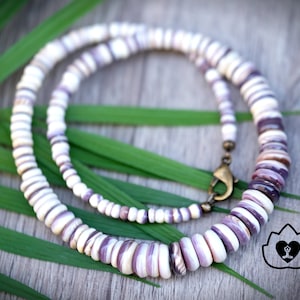 4mm-12mm Genuine Wampum Shell Rondelle Bead Necklace or Bracelet or Anklet Antique Brass Lobster Clasp