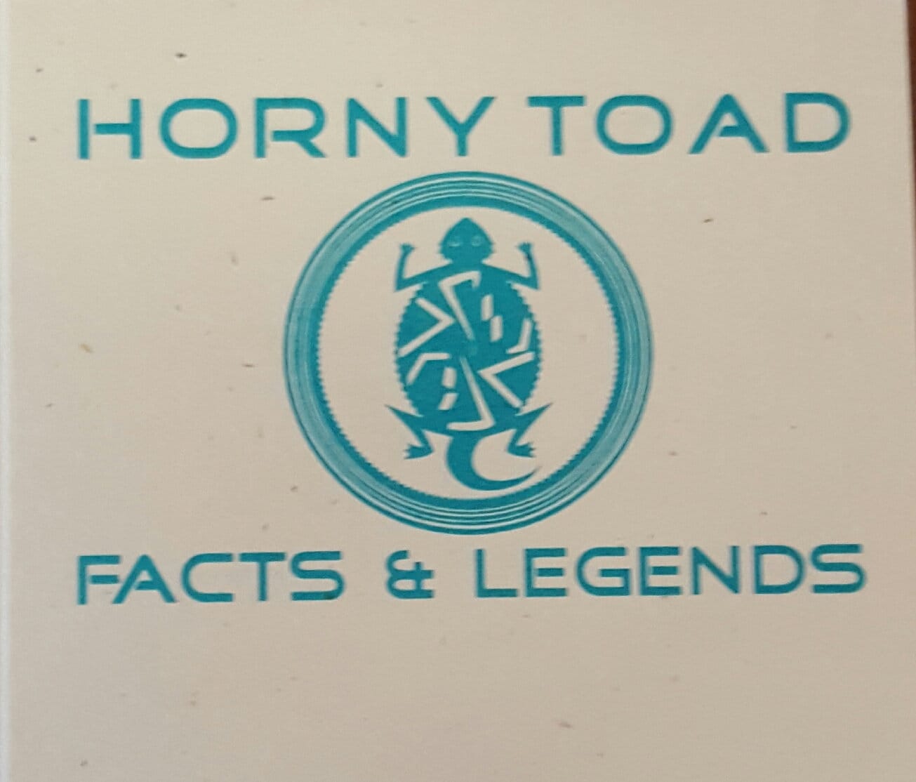 Horned Toad Horned Lizard Horned Frog Horny Toad Pewter Etsy