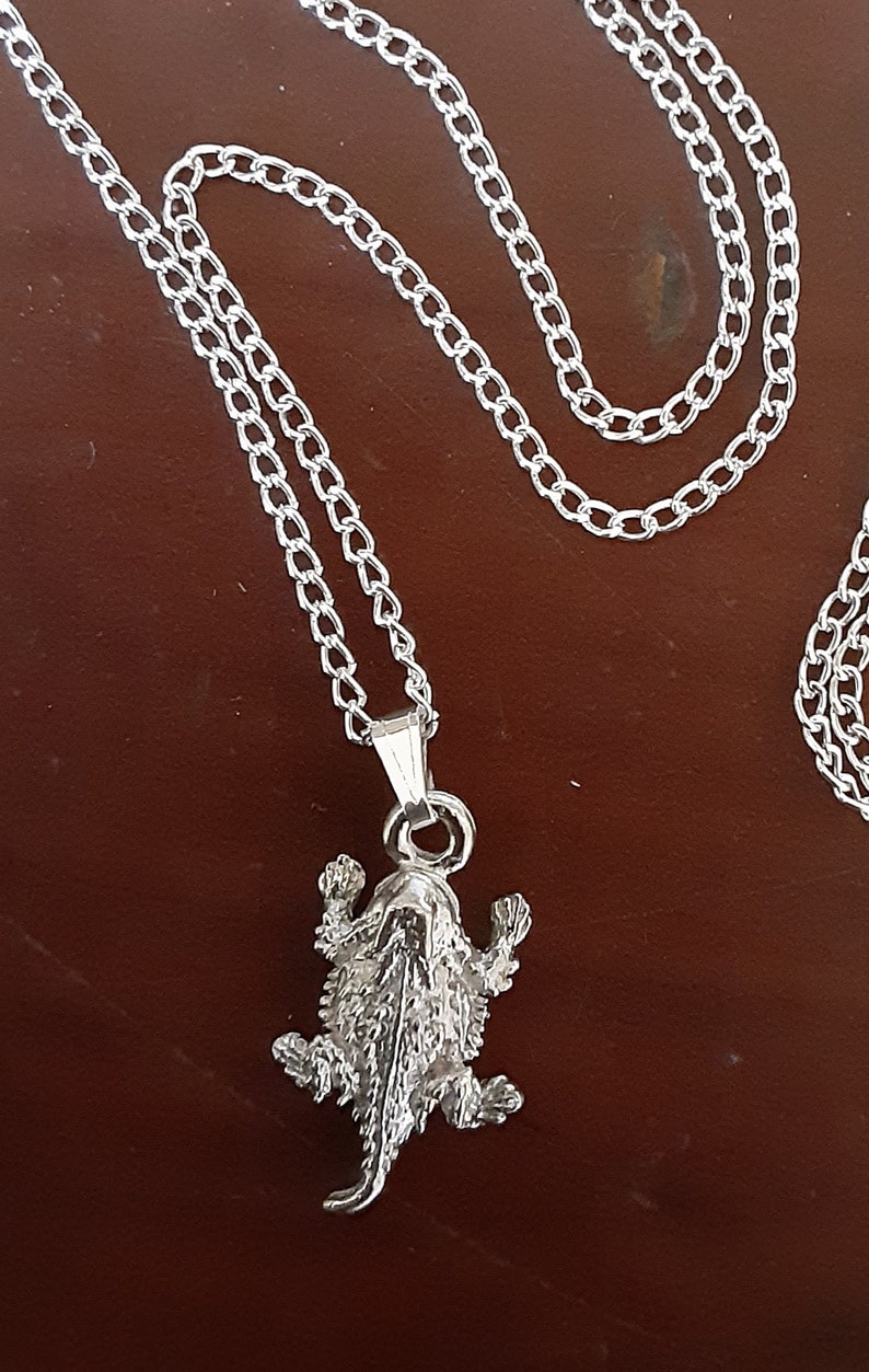 Horned Toad Horned Frog Horned Lizard Horny Toad 1 Inch Pin or Etsy