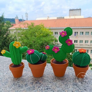 Cactus au crochet dans un pot en argile, partie B : décoration de plante d'intérieur faite main