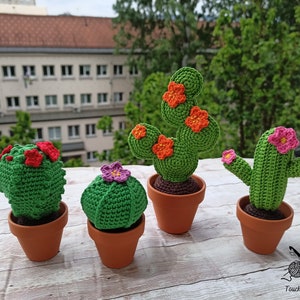 Crochet Cactus In A Clay Pot - part B