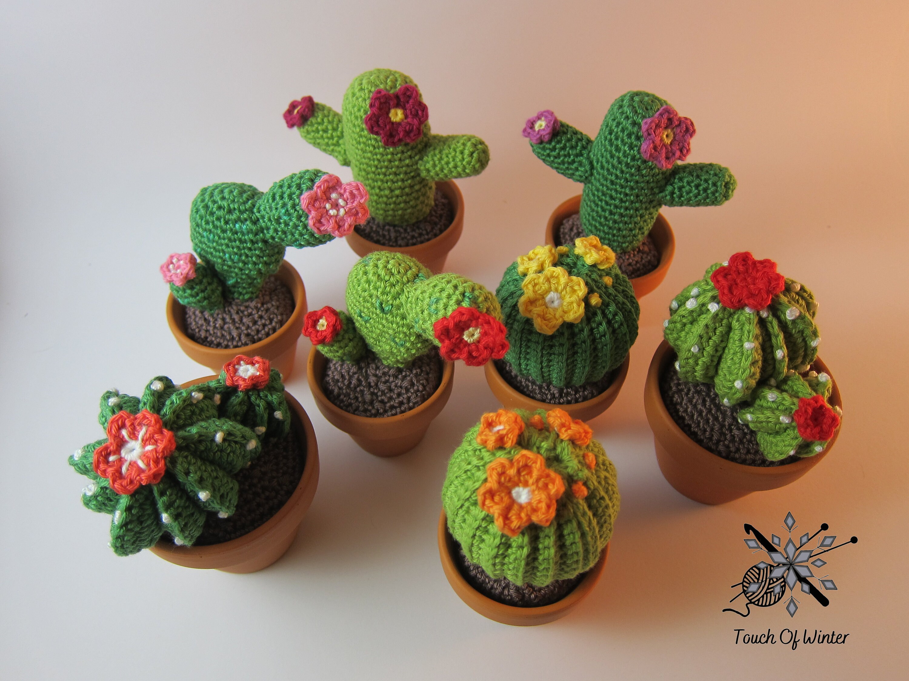 Cactus and Succulent Crochet Kit – Club Crochet