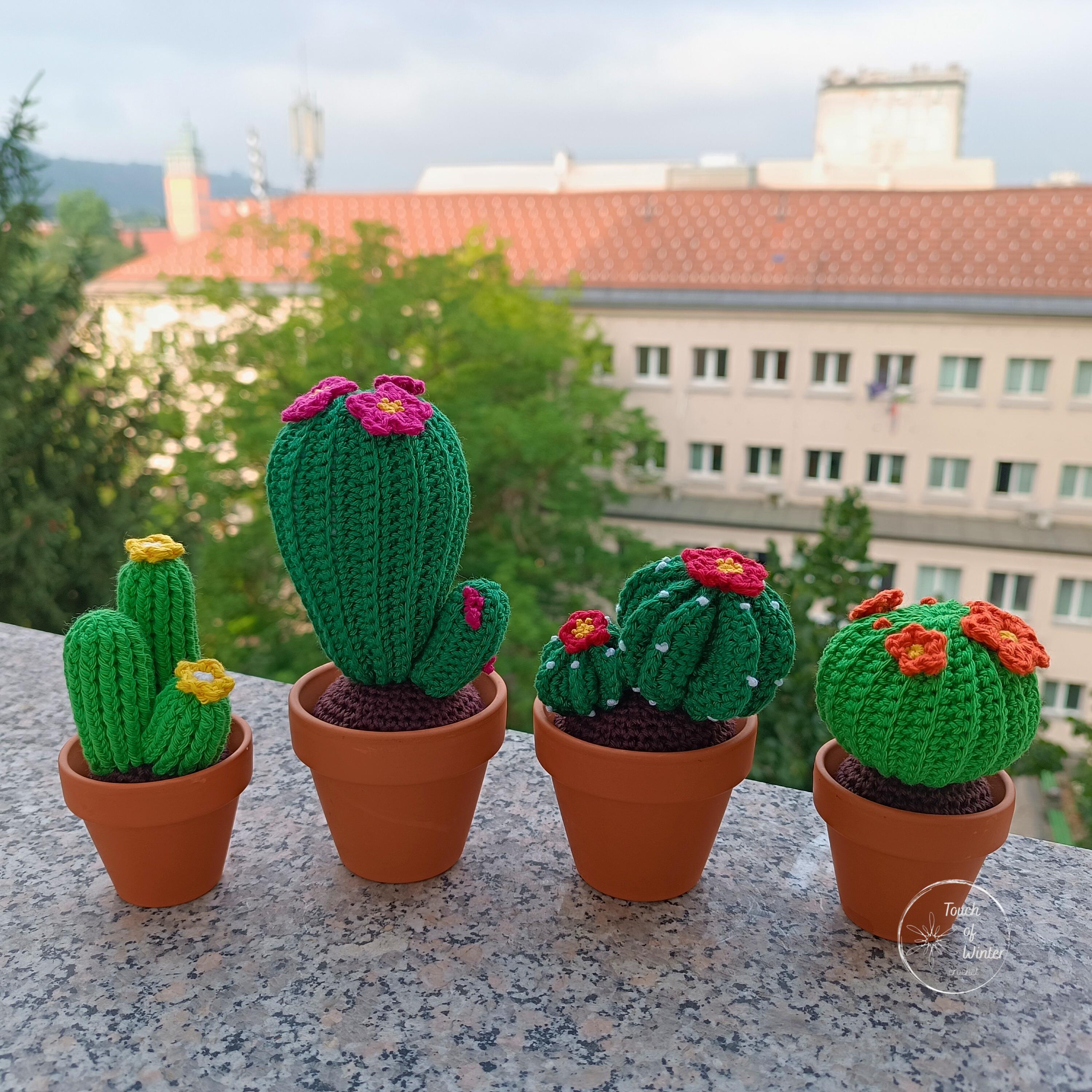 Gehkelter Kaktus im Tontopf Teil A - Etsy.de