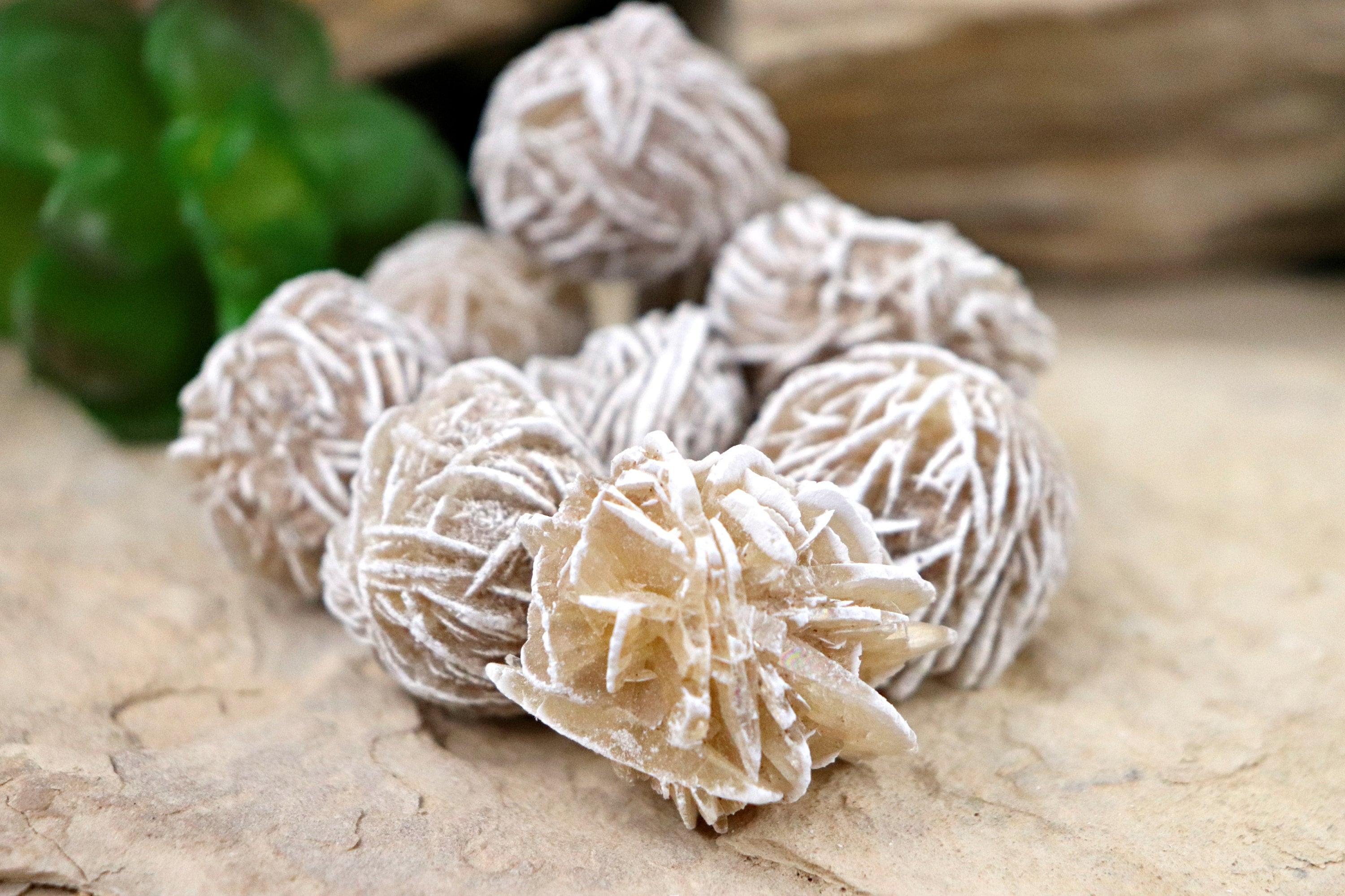 Desert Rose Crystal Gypsum Sand Roses Rose Mineral Specimen Spirit Guardian