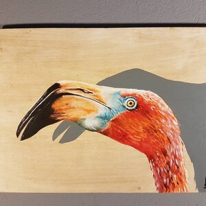 Flamingo