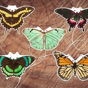 Butterflies Lacing Card Set, Large Format, Preschool Fine Motor Activity