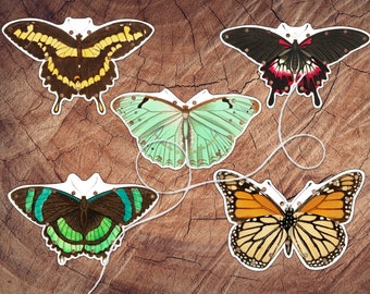 Butterflies Lacing Card Set, Large Format, Preschool Fine Motor Activity