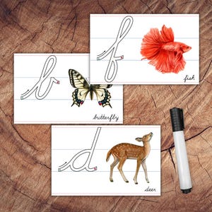 Tarjetas de iniciación a la escritura cursiva en minúsculas, con líneas