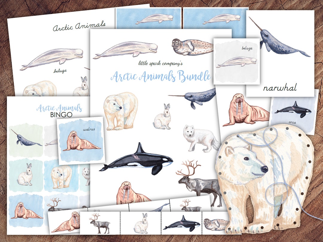 Arctic Animals Bundle Preschool Literacy Math DIGITAL