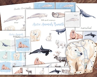 Arctic Animals Bundle, Preschool Literacy, Math DIGITAL DOWNLOAD