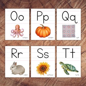 May include: Flashcards featuring the letters O, P, Q, R, S, and T. Each card displays a picture and the name of the object, including an octopus, pumpkin, quilt, rabbit, sunflower, and turtle.