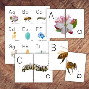 Juego de rompecabezas de combinación de letras de primavera, combinación del alfabeto