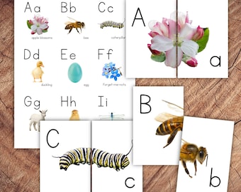 Spring Letter Match Puzzle Set, Alphabet Matching