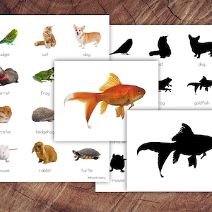 Cartes d'association d'images d'animaux de compagnie, correspondance de silhouette, activité préscolaire pour tout-petits